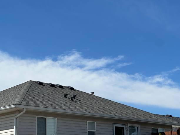 Best Gutter Installation and Repair  in Pine Lawn, MO